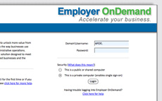 Screenshot of Apex Payroll's Employer OnDemand website